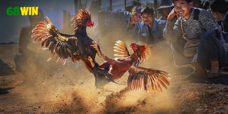 Các yếu tố có thể giúp bạn tăng phần thắng