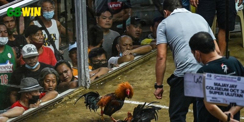 Tổng hợp các cửa cược phổ biến trong trận đấu